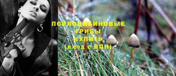 винт Абинск
