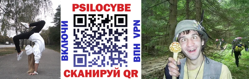 Псилоцибиновые грибы MAGIC MUSHROOMS  где купить наркоту  Алапаевск 