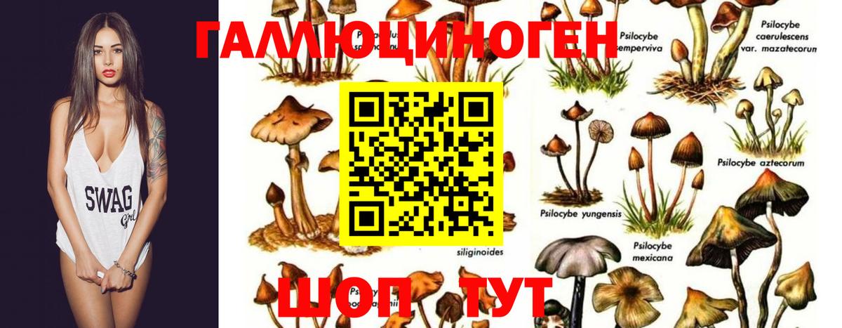 Псилоцибиновые грибы мицелий  Галлюциногенные грибы MAGIC MUSHROOMS  Вход с VPN  Алапаевск 